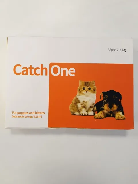 캐치원 앞면