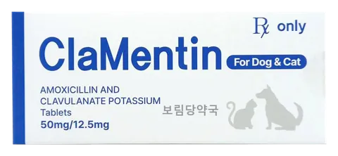 클라멘틴정 62.5mg 제품 사진 (보림당약국)