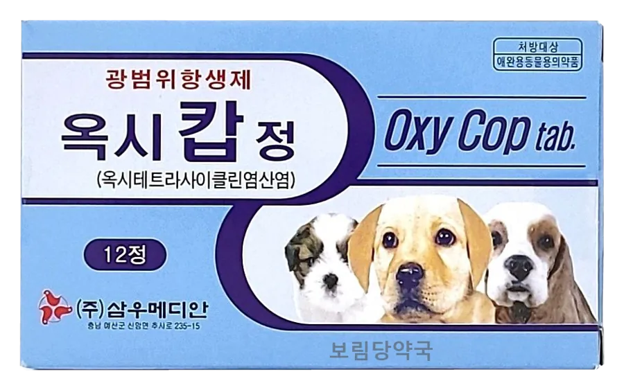 옥시캅정 제품 사진 (보림당약국)