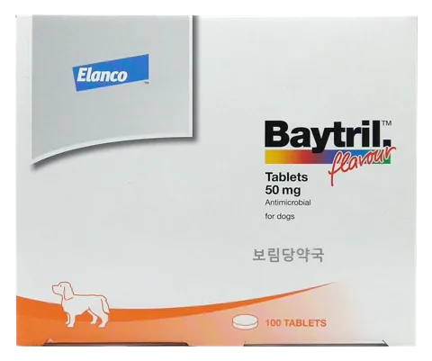 바이트릴 플레이버정 50mg 제품 사진 (보림당약국)