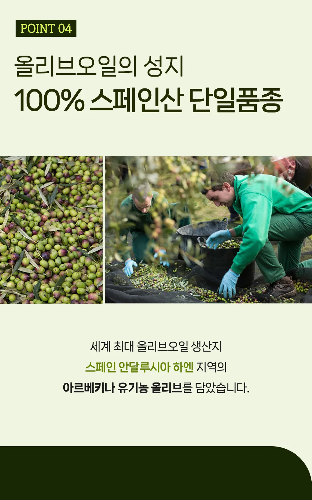 일동 엑스트라 버진 올리브 1000mg (P) 상세 설명