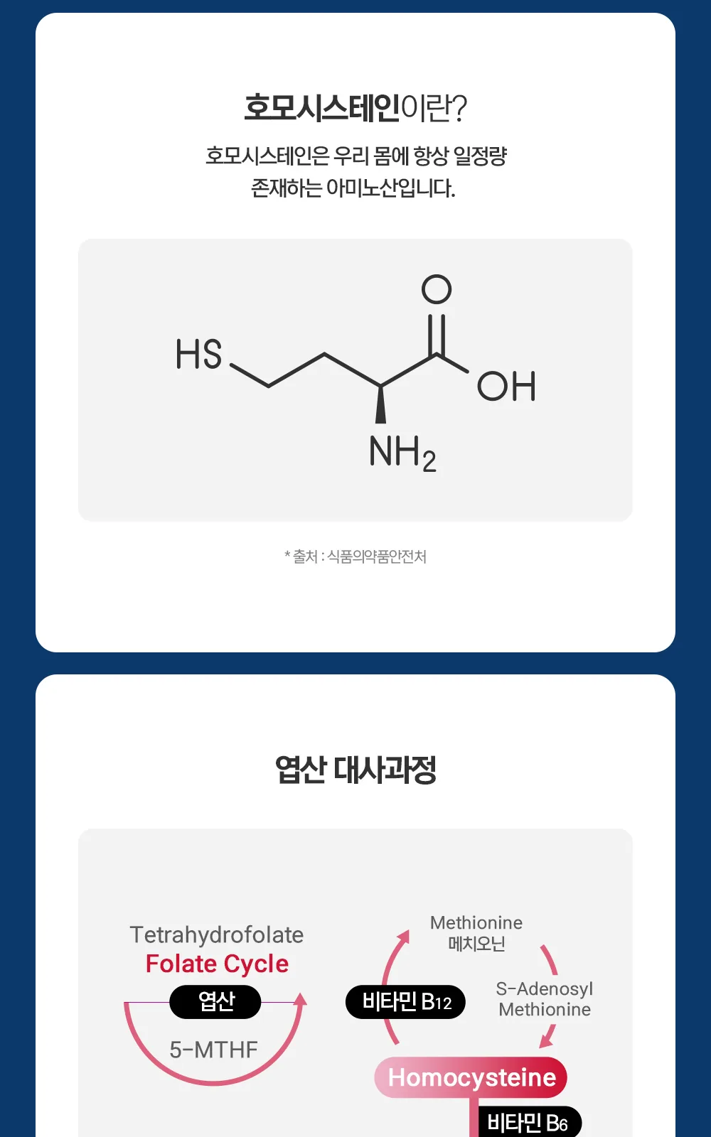 일동 활성형 엽산플러스 상세 설명