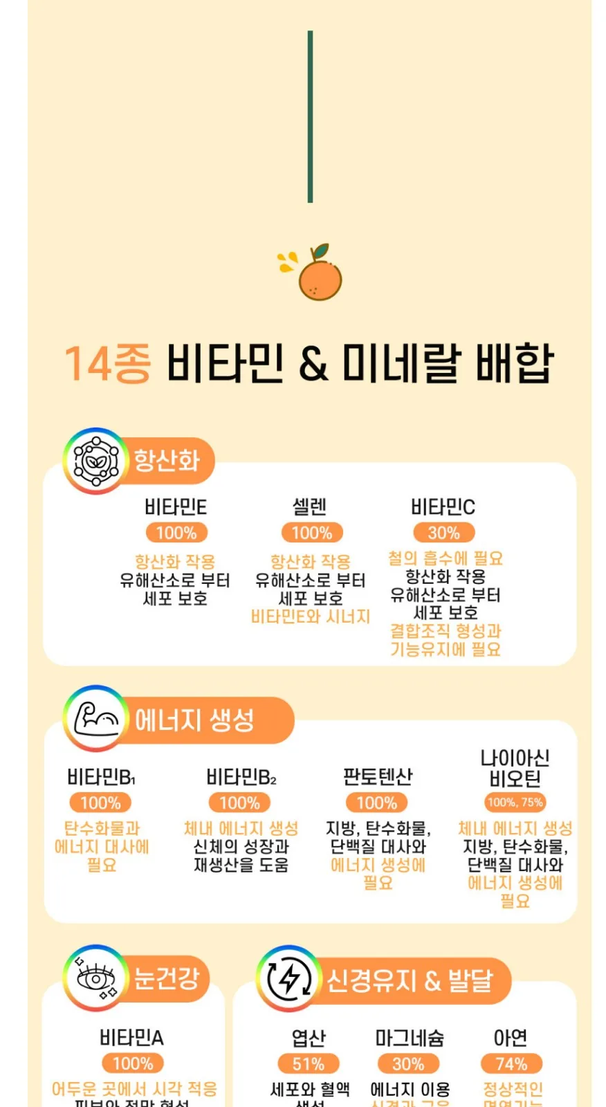 일동생활건강 멀티맥스 비타 14(온라인판매금지) 상세 설명