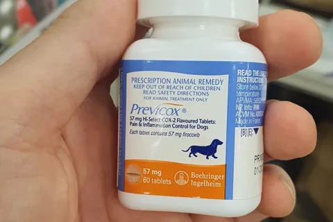 프레비콕스 츄어블정 제품 사진